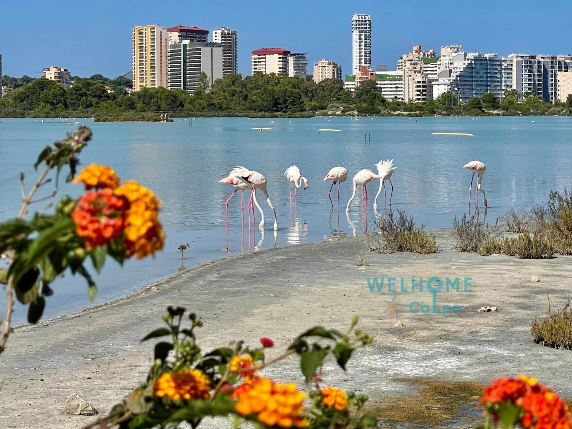 Calalga Сasa Frente A La Playa Con Piscina Privada Villa กัลเป ภายนอก รูปภาพ